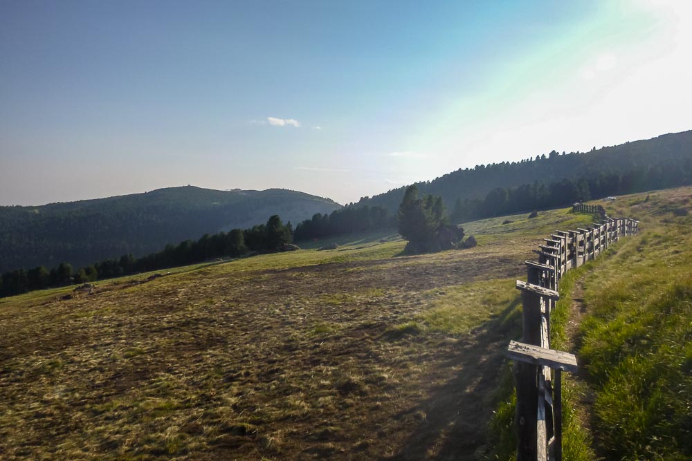 Tiefbau Hofer Baggerarbeiten Eisacktal Südtirol Planierung Gelände