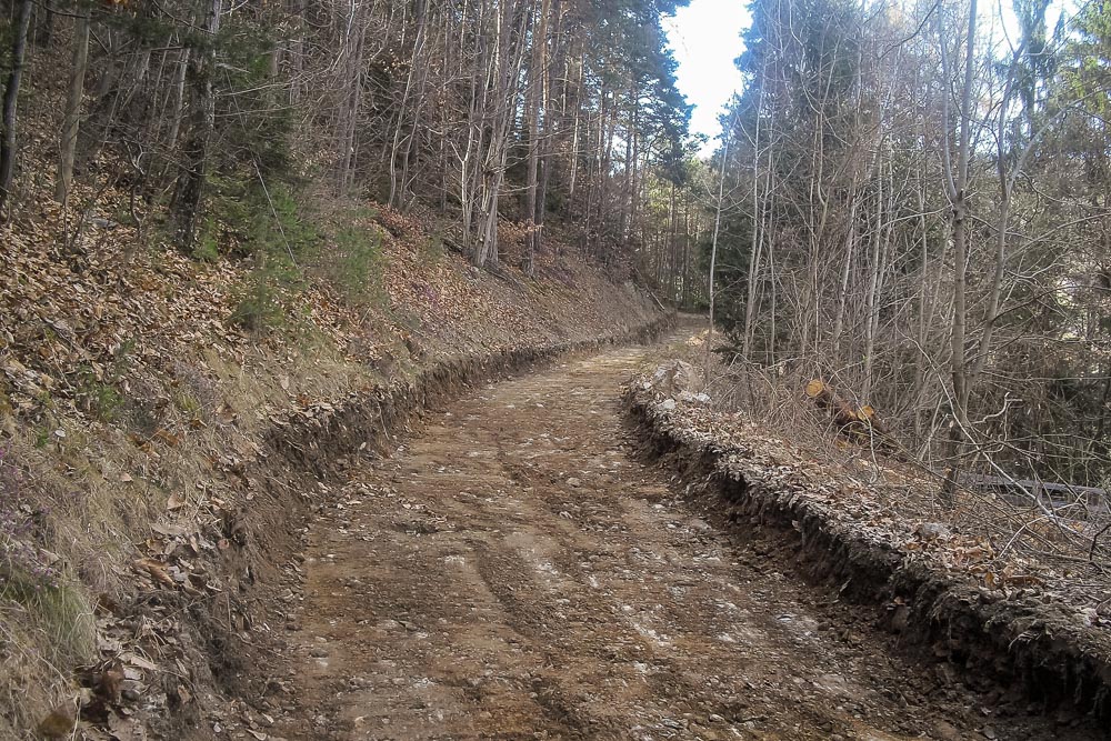 Tiefbau Hofer Baggerarbeiten Eisacktal Südtirol Wege Strassen Forststraße Zufahrten