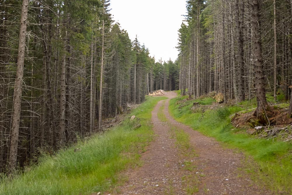 Tiefbau Hofer Baggerarbeiten Eisacktal Südtirol Wege Strassen Forststraße Zufahrten